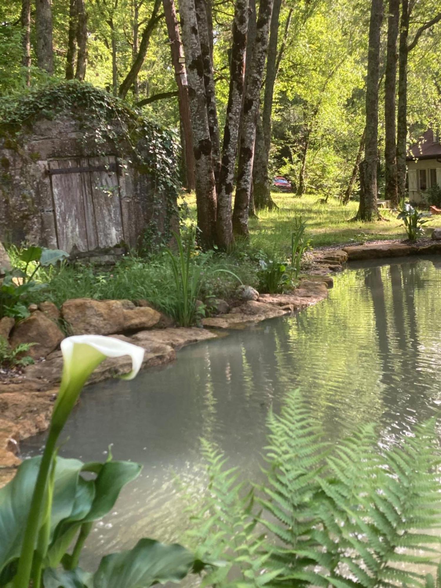 Les Bois De Ravel Chambres D'Hotes エクステリア 写真